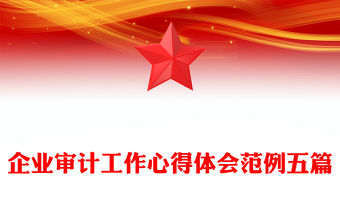 企業審計工作心得體會范例五篇