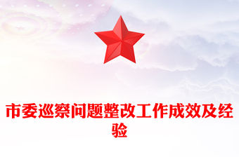 市委巡察問題整改工作成效及經驗