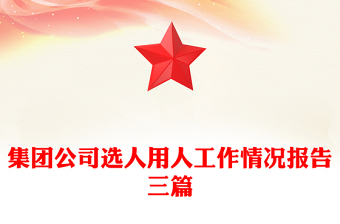 集團公司選人用人工作情況報告三篇