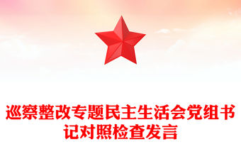 巡察整改專題民主生活會黨組書記對照檢查發言