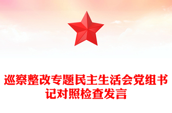 巡察整改專題民主生活會黨組書記對照檢查發(fā)言