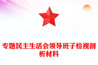 專(zhuān)題民主生活會(huì)領(lǐng)導(dǎo)班子檢視剖析材料
