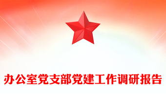辦公室黨支部黨建工作調(diào)研報告