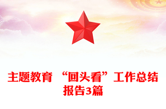 主題教育 “回頭看”工作總結報告3篇