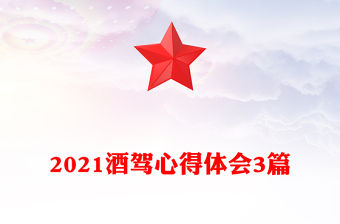 2021酒駕心得體會3篇