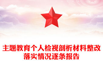 主題教育個(gè)人檢視剖析材料整改落實(shí)情況逐條報(bào)告