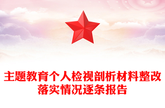 主題教育個(gè)人檢視剖析材料整改落實(shí)情況逐條報(bào)告