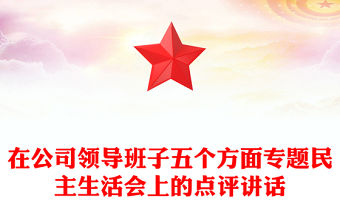 在公司領導班子五個方面專題民主生活會上的點評講話