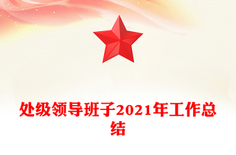 處級領導班子2021年工作總結