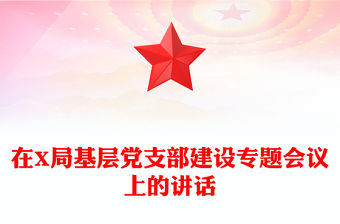 在X局基層黨支部建設專題會議上的講話