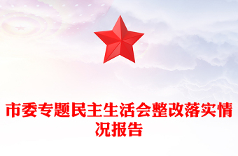 市委專題民主生活會(huì)整改落實(shí)情況報(bào)告