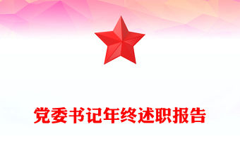 黨委書記年終述職報告