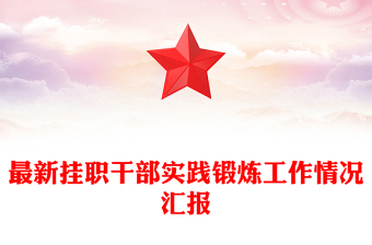 最新掛職干部實(shí)踐鍛煉工作情況匯報(bào)