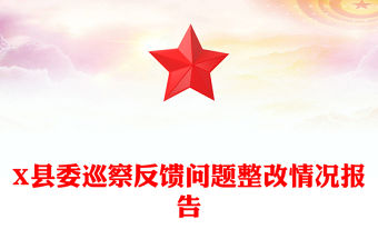 X縣委巡察反饋問題整改情況報告
