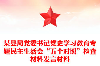 某縣局黨委書記黨史學(xué)習(xí)教育專題民主生活會(huì)“五個(gè)對(duì)照”檢查材料發(fā)言材料