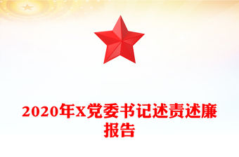 2020年X黨委書記述責述廉報告