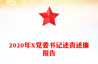 2020年X黨委書記述責(zé)述廉報告