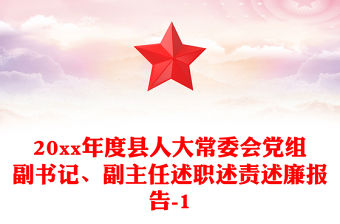 20xx年度縣人大常委會黨組副書記、副主任述職述責述廉報告-1