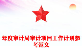 年度審計局審計項目工作計劃參考范文