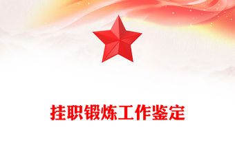 掛職鍛煉工作鑒定