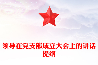 領導在黨支部成立大會上的講話提綱