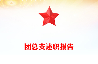 團(tuán)總支述職報(bào)告