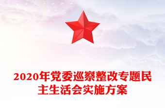 2020年黨委巡察整改專題民主生活會實施方案