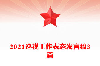 2021巡視工作表態發言稿3篇