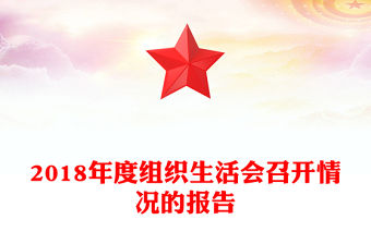 2018年度組織生活會(huì)召開情況的報(bào)告
