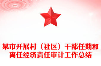 某市開展村（社區）干部任期和離任經濟責任審計工作總結