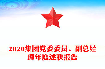 2020集團黨委委員、副總經理年度述職報告
