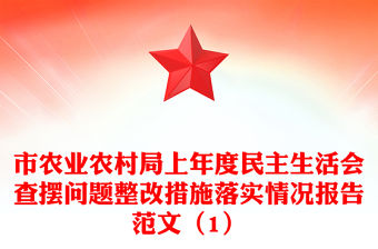 市農(nóng)業(yè)農(nóng)村局上年度民主生活會查擺問題整改措施落實情況報告范文（1）