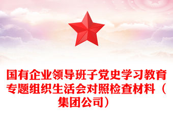 國有企業領導班子黨史學習教育專題組織生活會對照檢查材料（集團公司）