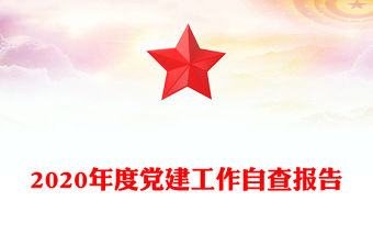 2020年度黨建工作自查報告