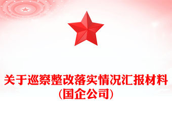 關(guān)于巡察整改落實情況匯報材料(國企公司)