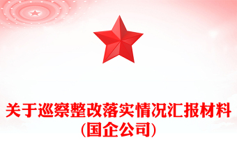 關(guān)于巡察整改落實(shí)情況匯報(bào)材料(國企公司)