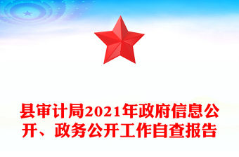 縣審計局2021年政府信息公開、政務公開工作自查報告