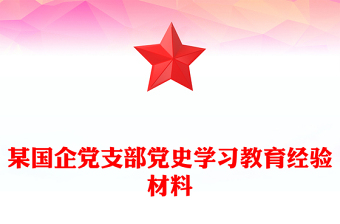 某國企黨支部黨史學(xué)習(xí)教育經(jīng)驗材料