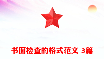 書面檢查的格式范文 3篇
