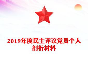 2019年度民主評議黨員個人剖析材料
