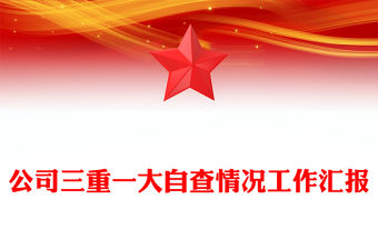 公司三重一大自查情況工作匯報(bào)