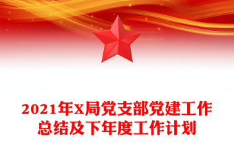 2021年X局黨支部黨建工作總結(jié)及下年度工作計(jì)劃