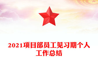 2021項目部員工見習期個人工作總結