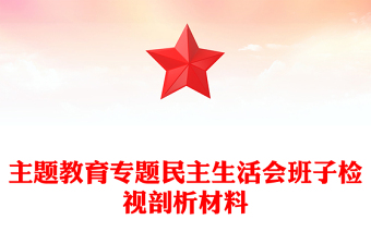 主題教育專題民主生活會(huì)班子檢視剖析材料