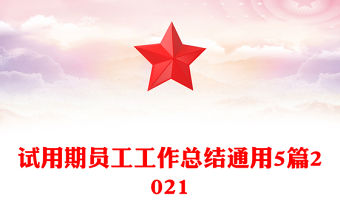 試用期員工工作總結通用5篇2021