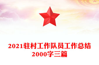 2021駐村工作隊員工作總結2000字三篇