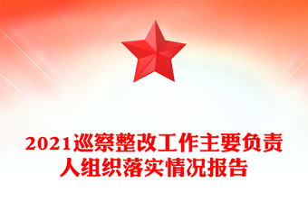 2021巡察整改工作主要負責人組織落實情況報告