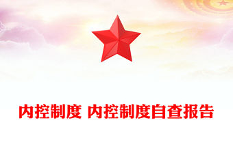 內控制度 內控制度自查報告