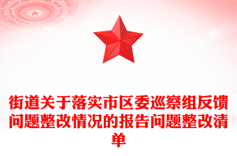 街道關(guān)于落實市區(qū)委巡察組反饋問題整改情況的報告問題整改清單