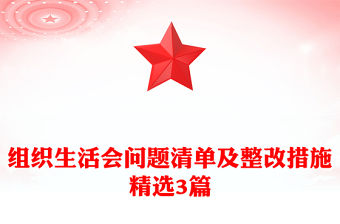 組織生活會問題清單及整改措施精選3篇